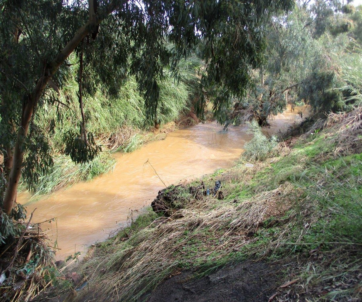 אחרי הגשמים: צפו בנחלים שזורמים לירקון