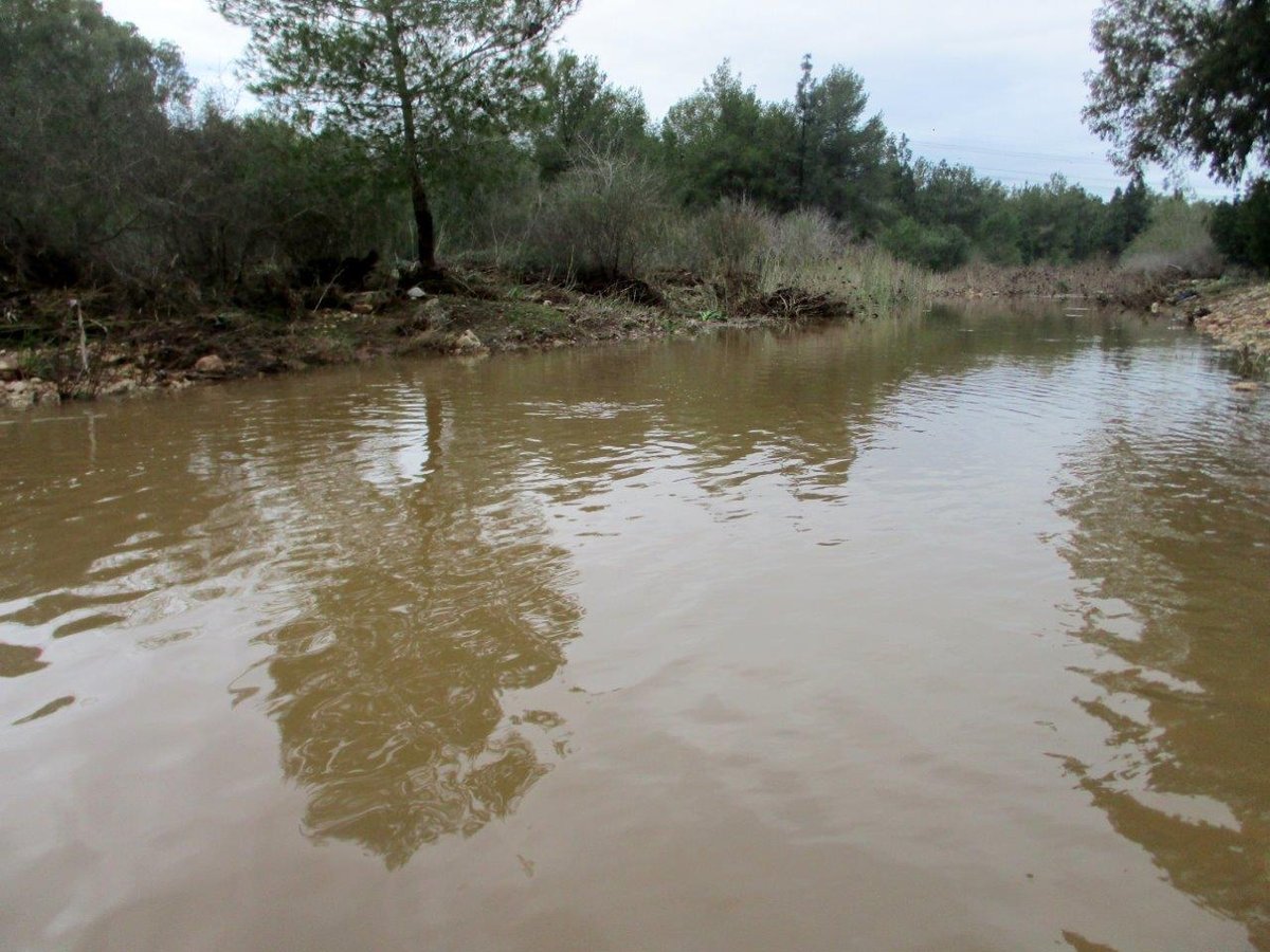 אחרי הגשמים: צפו בנחלים שזורמים לירקון