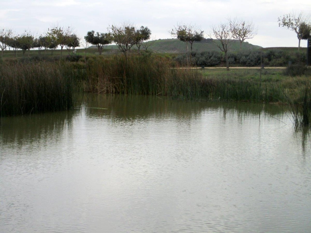 פארק אריאל שרון דרך עדשת המצלמה