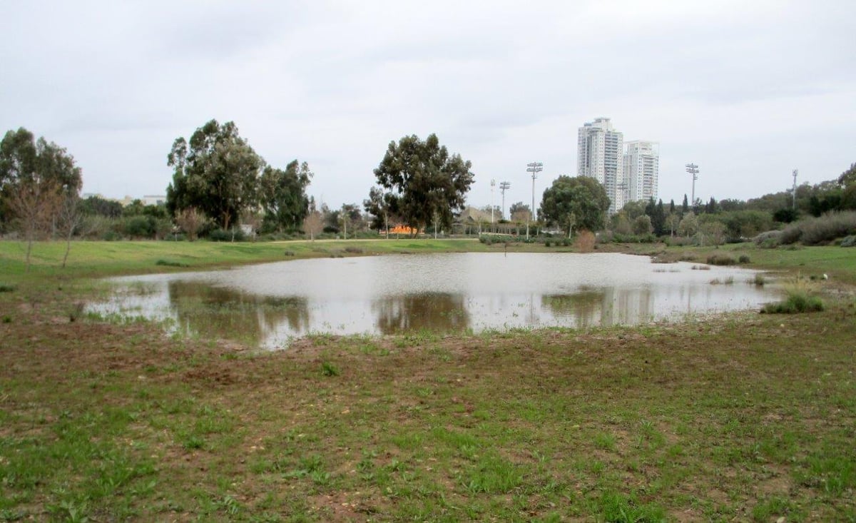 פארק אריאל שרון דרך עדשת המצלמה