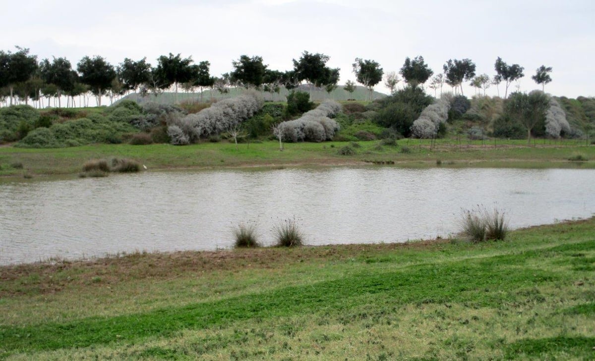 פארק אריאל שרון דרך עדשת המצלמה