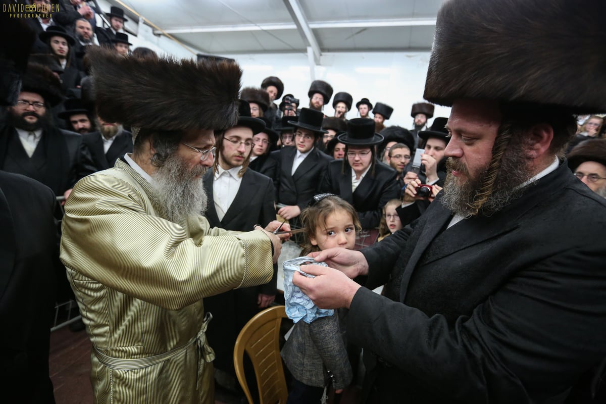 סליחות והדלקה: המשפיע ר' מיילך בידרמן במירון