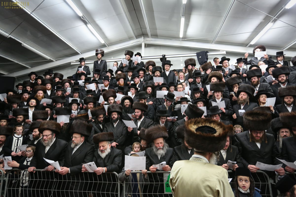 סליחות והדלקה: המשפיע ר' מיילך בידרמן במירון