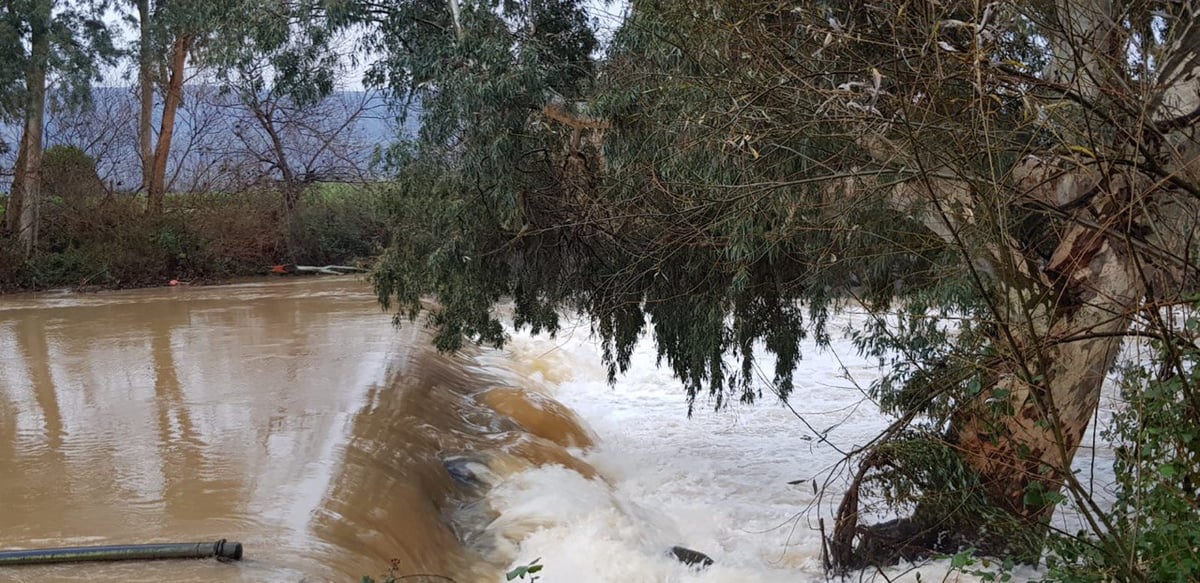 צפו: זרימה חזקה בנהר הירדן - ברקע החרמון