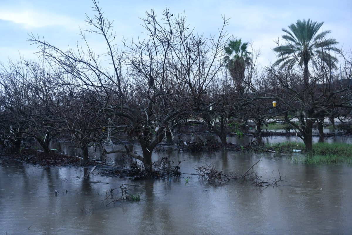 "זה אצלנו" • גלריה מרהיבה מפארק במרכז הארץ