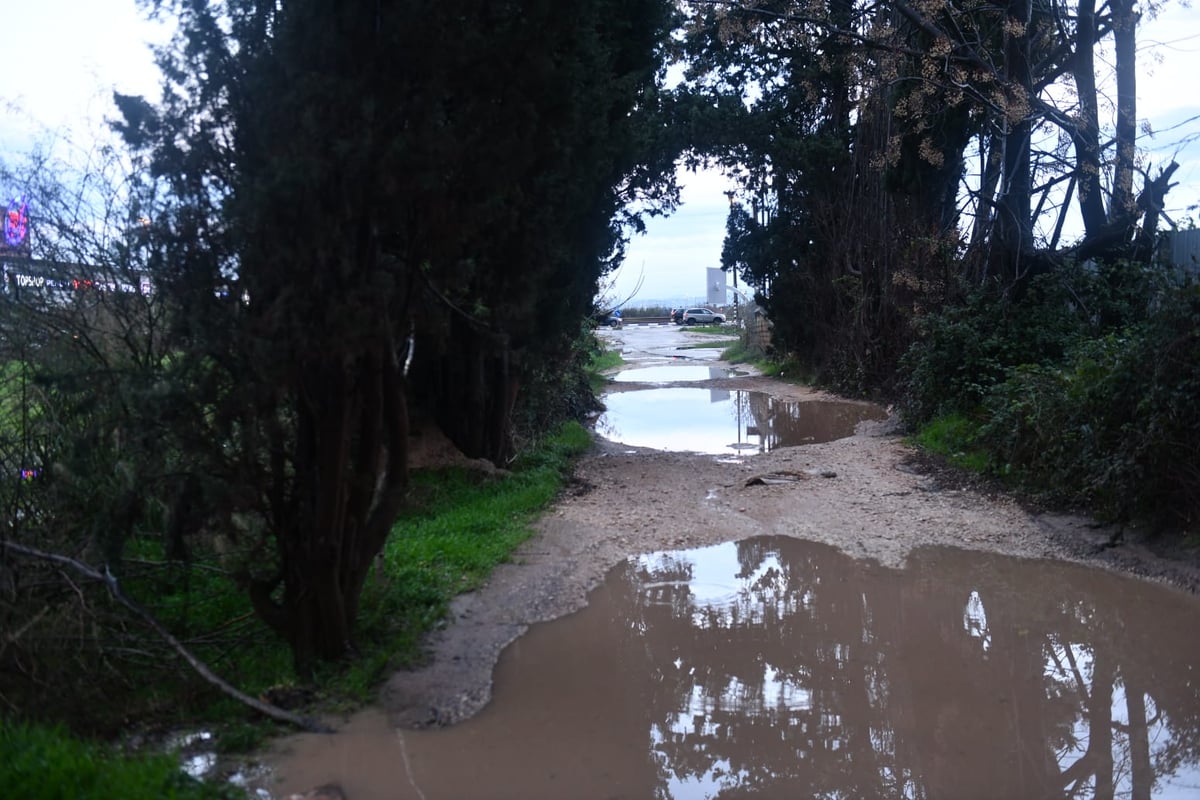 "זה אצלנו" • גלריה מרהיבה מפארק במרכז הארץ