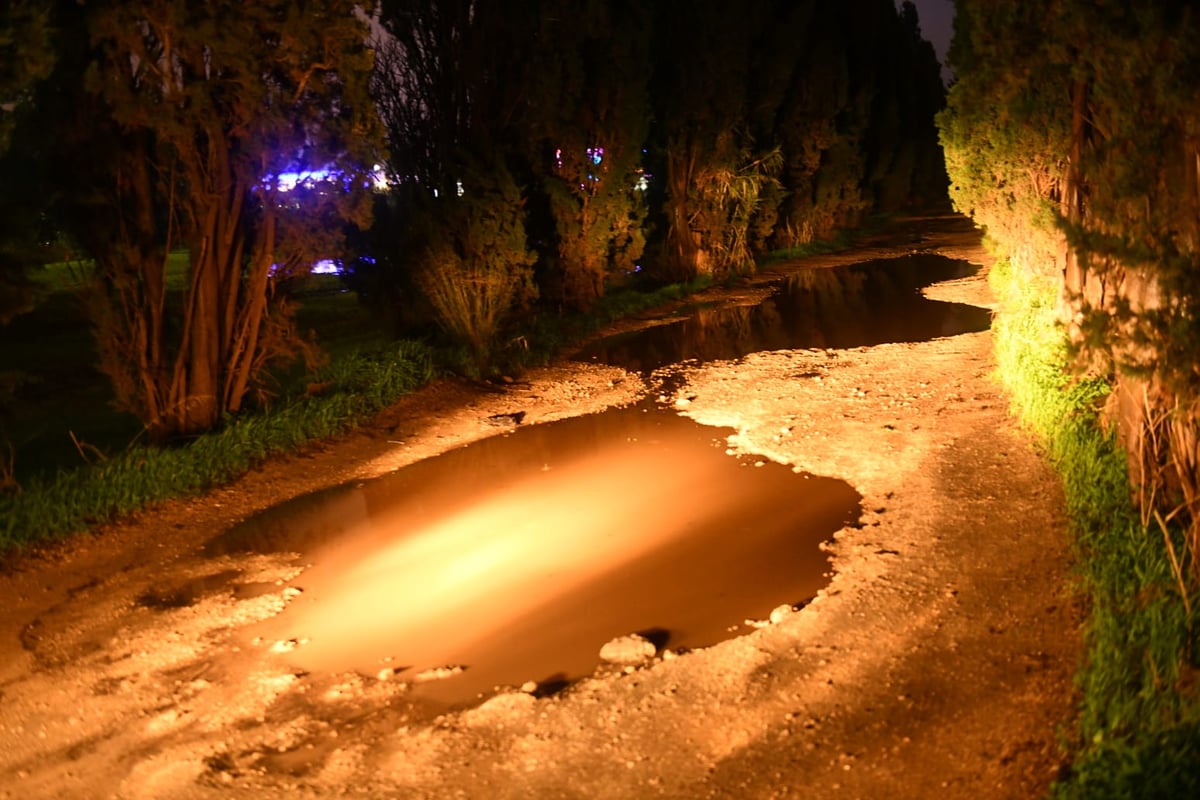 "זה אצלנו" • גלריה מרהיבה מפארק במרכז הארץ