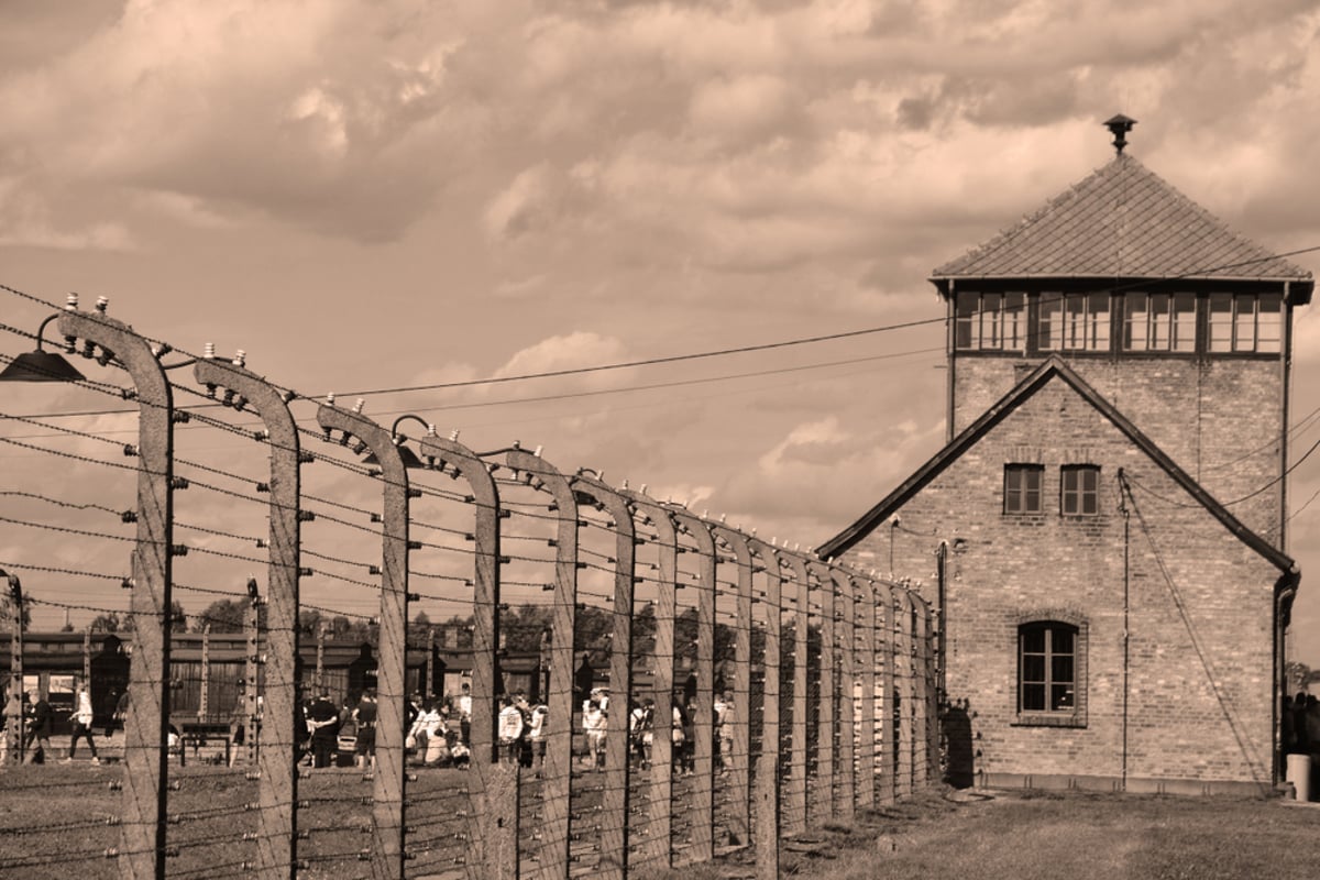 מה ענה הרבי מחב"ד לניצול השואה הכאוב?