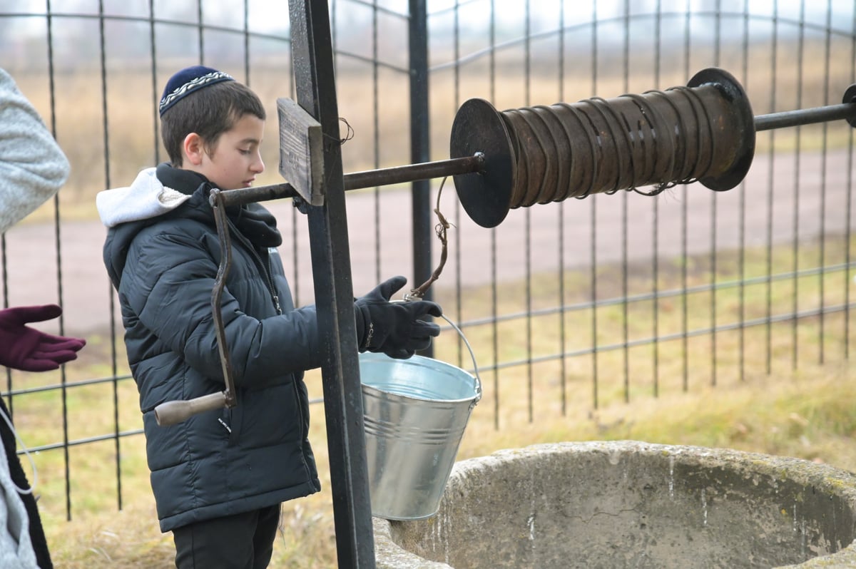 צפו: המסע החסידי לציון של האדמו"ר הזקן