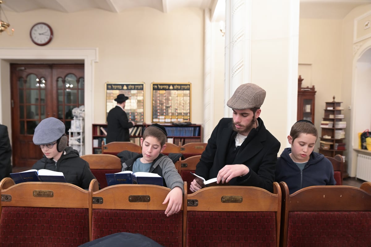 צפו: המסע החסידי לציון של האדמו"ר הזקן