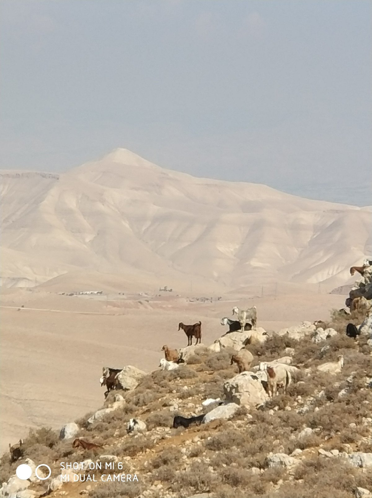 השיטפונות בהר בו הושלך "השעיר לעזאזל"