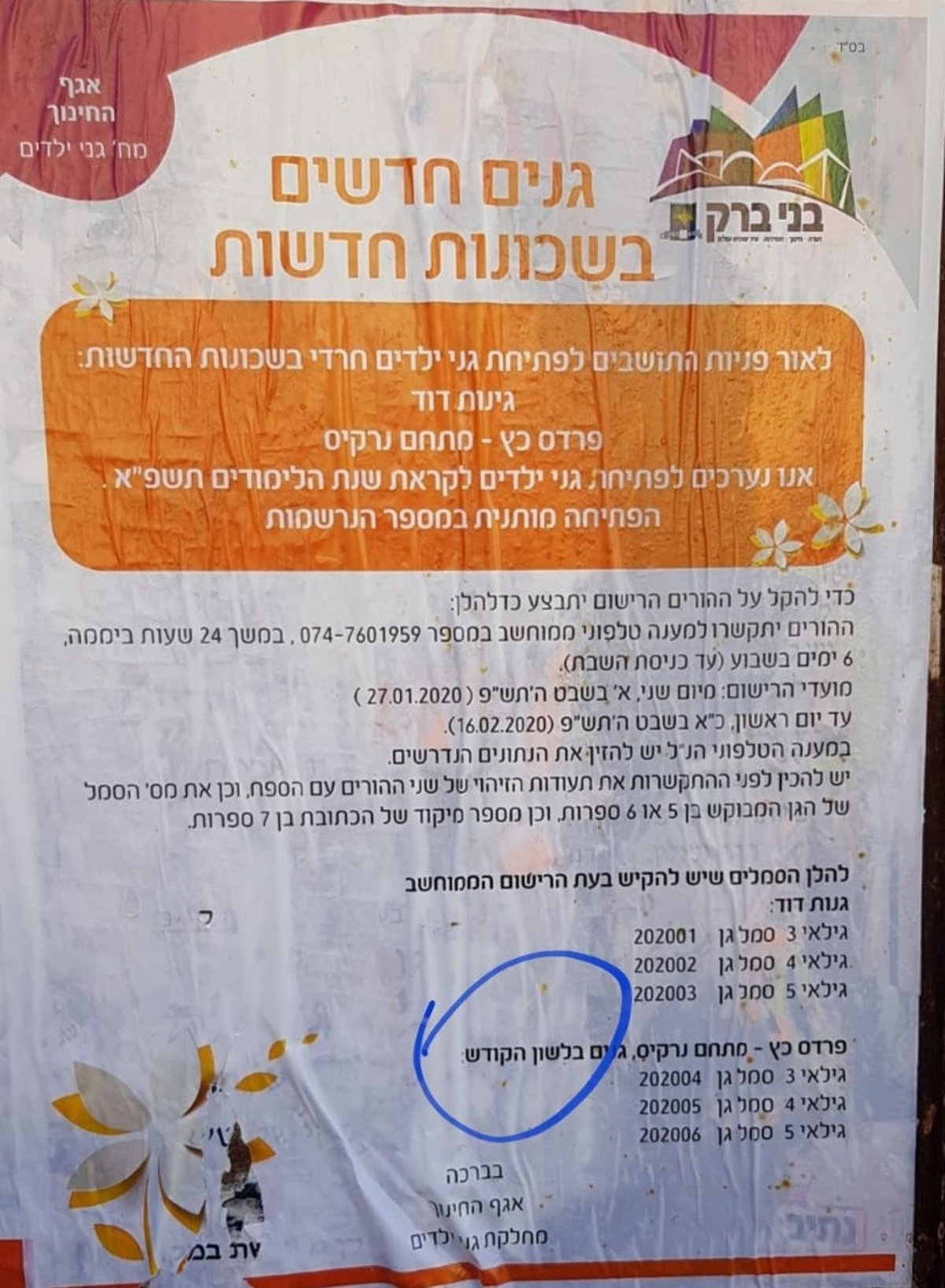 הפרסומים