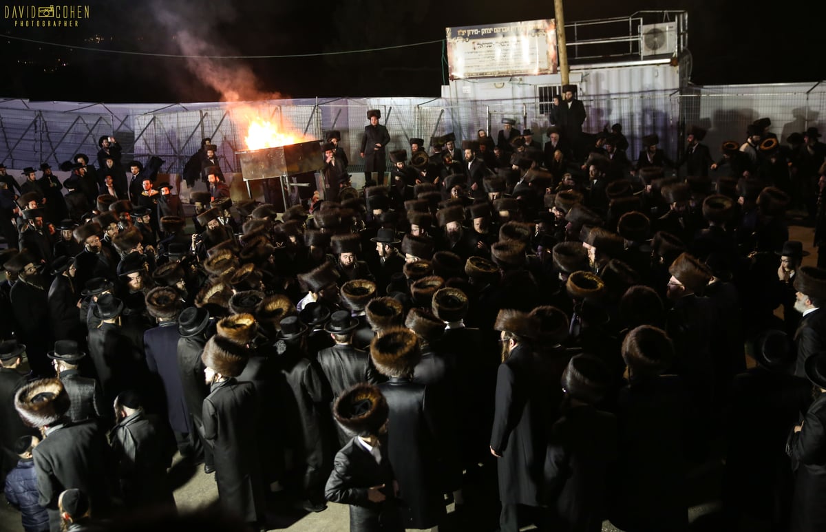 האדמו"ר מצאנז - ז'ימיגראד כבש את מירון