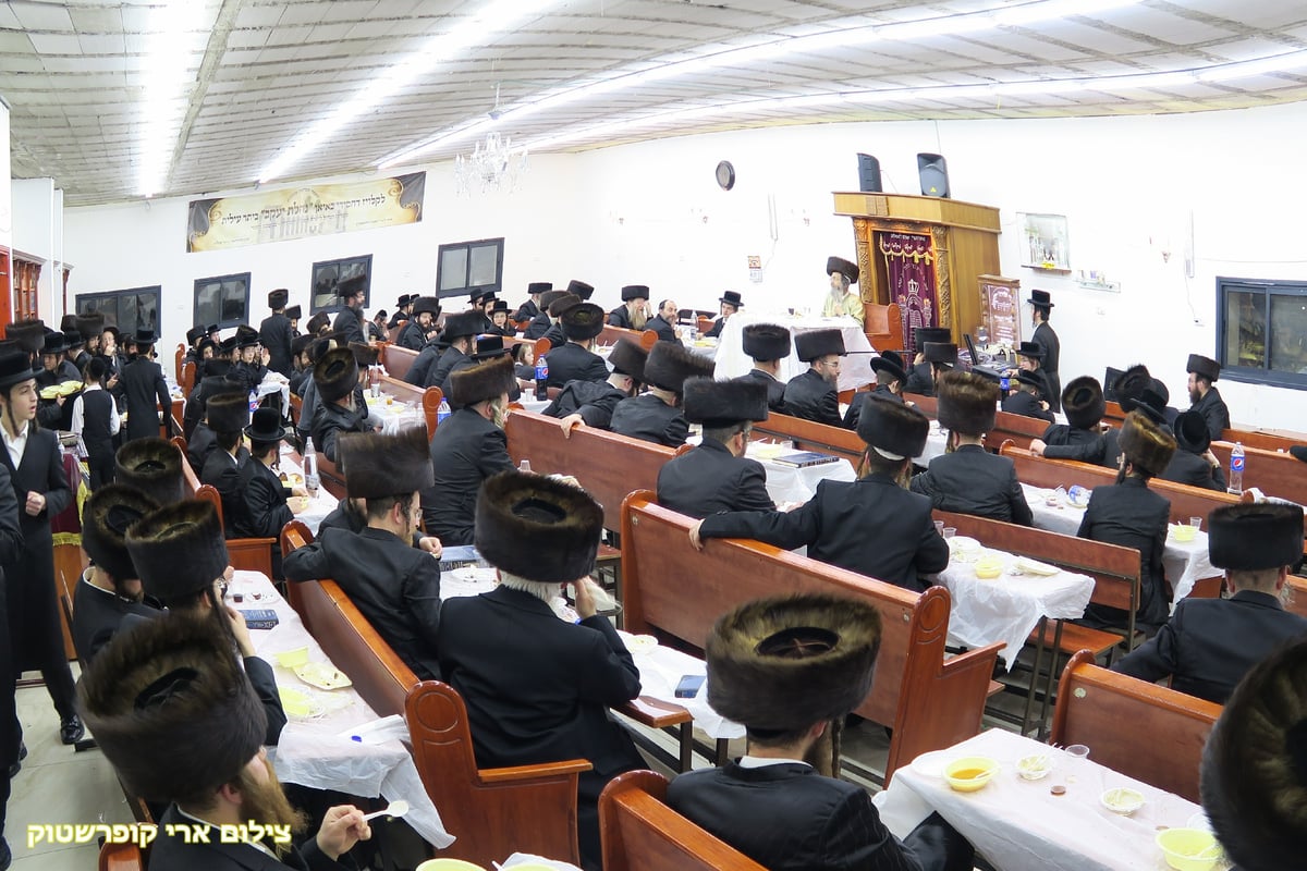 'רבי מיילך' חיזק את החסידים ותקע בשופר • תיעוד