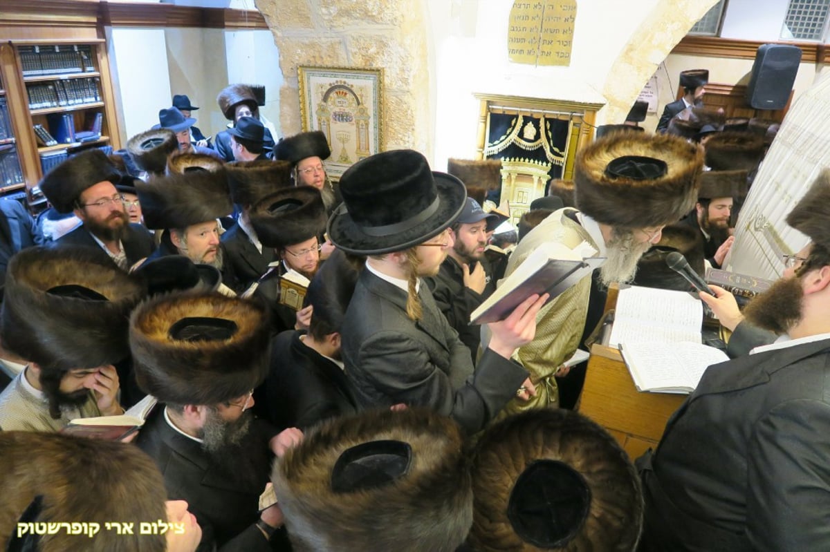 'רבי מיילך' חיזק את החסידים ותקע בשופר • תיעוד