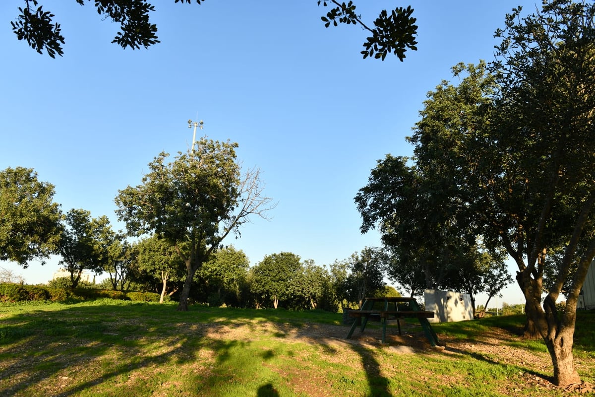 גלריית חורף מפארק מנחם בגין בתל אביב