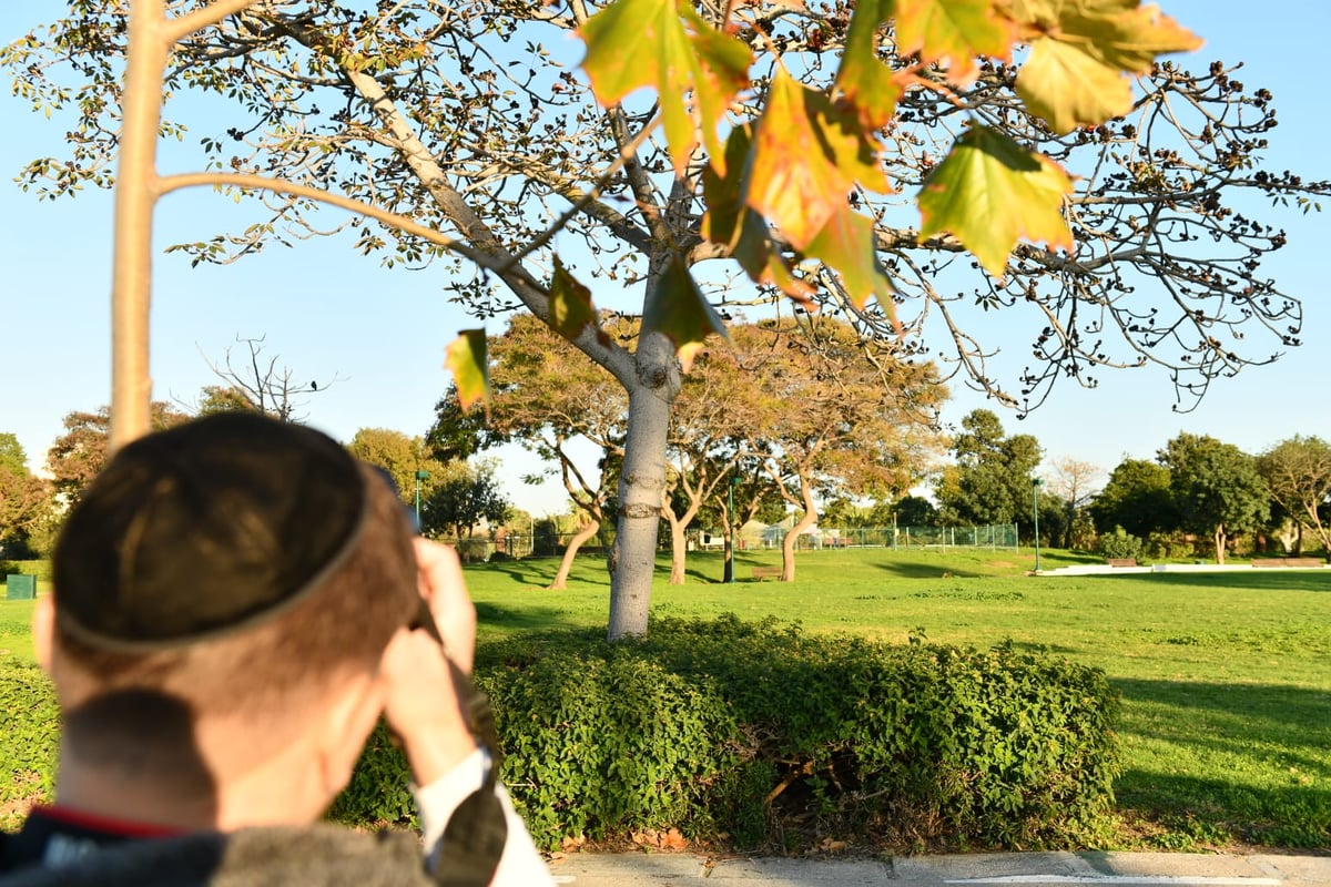 גלריית חורף מפארק מנחם בגין בתל אביב