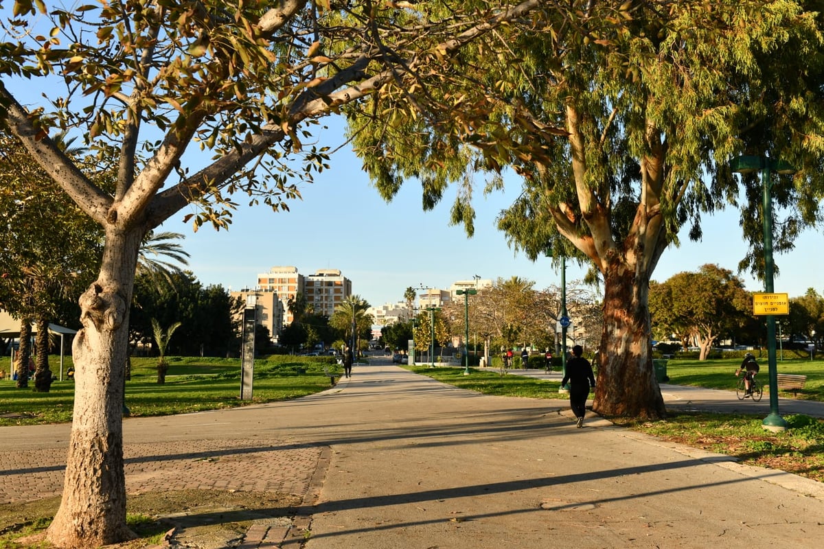 גלריית חורף מפארק מנחם בגין בתל אביב