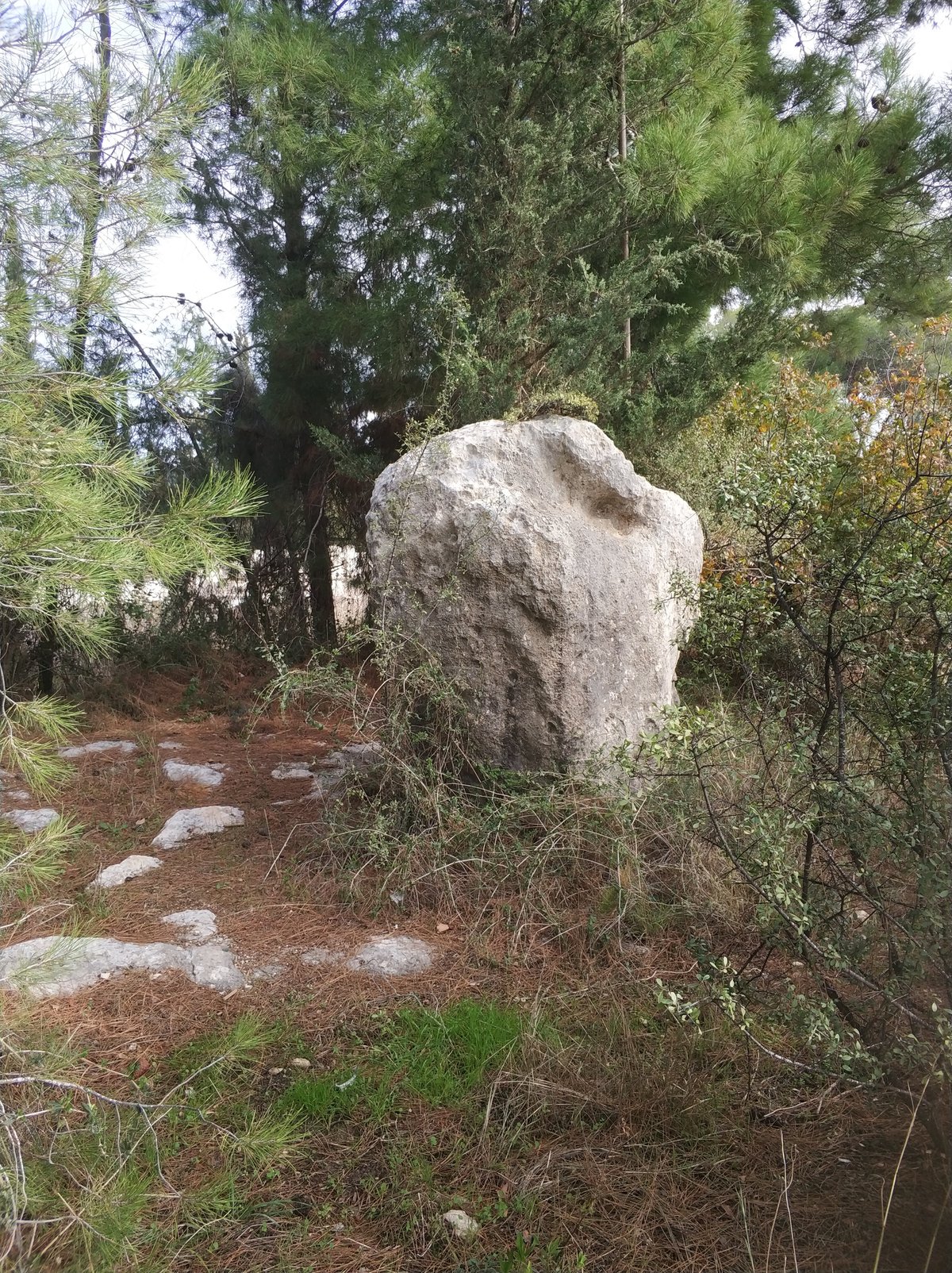 סלע החורבן