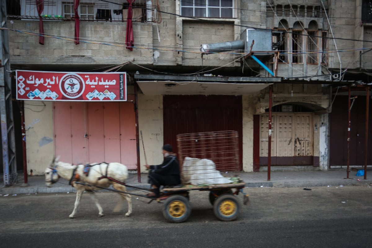 גלריה: התפרעויות הערבים ביו"ש וברצועה