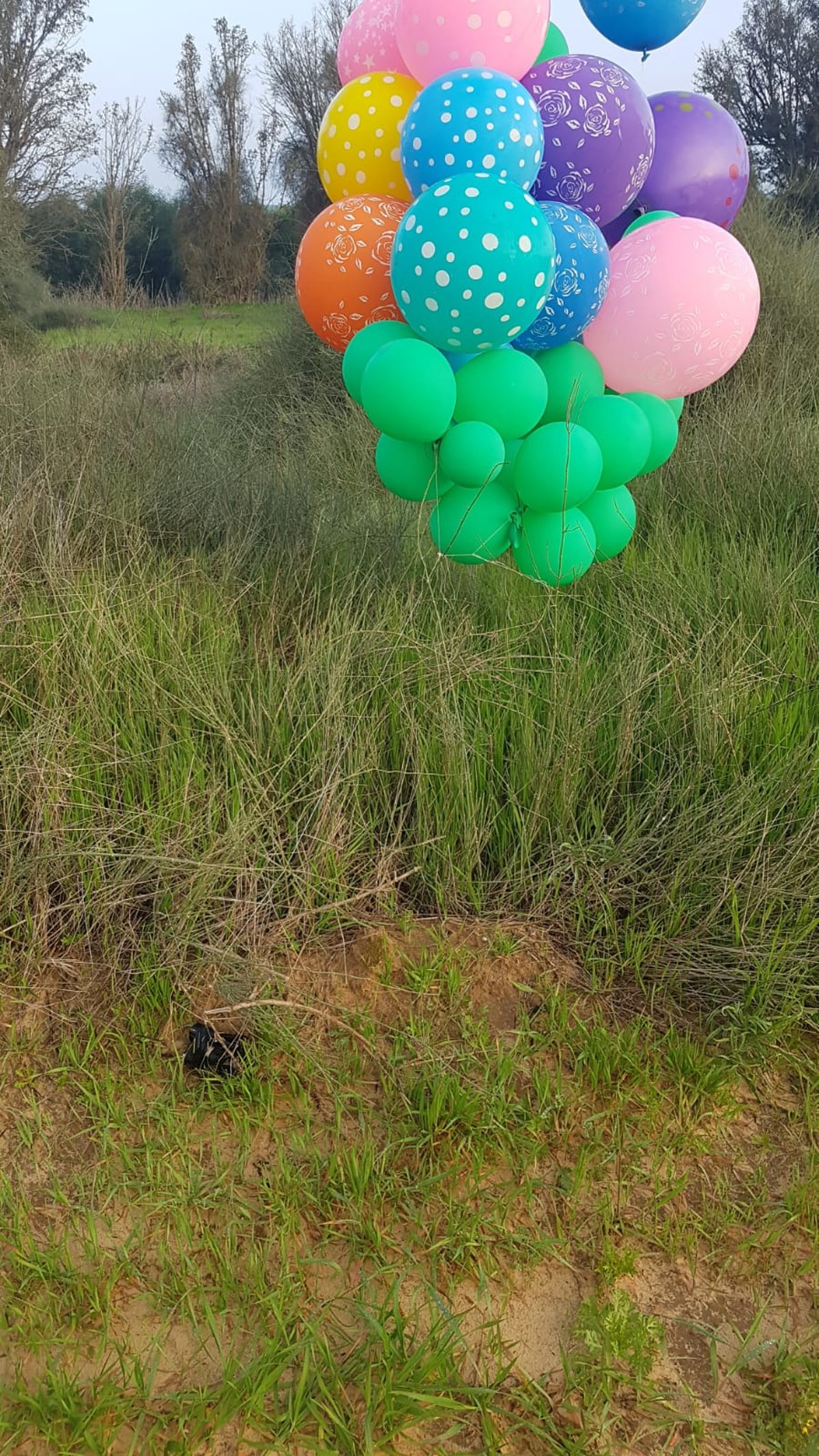 גם הבוקר: בלונים חשודים אותרו בשער הנגב