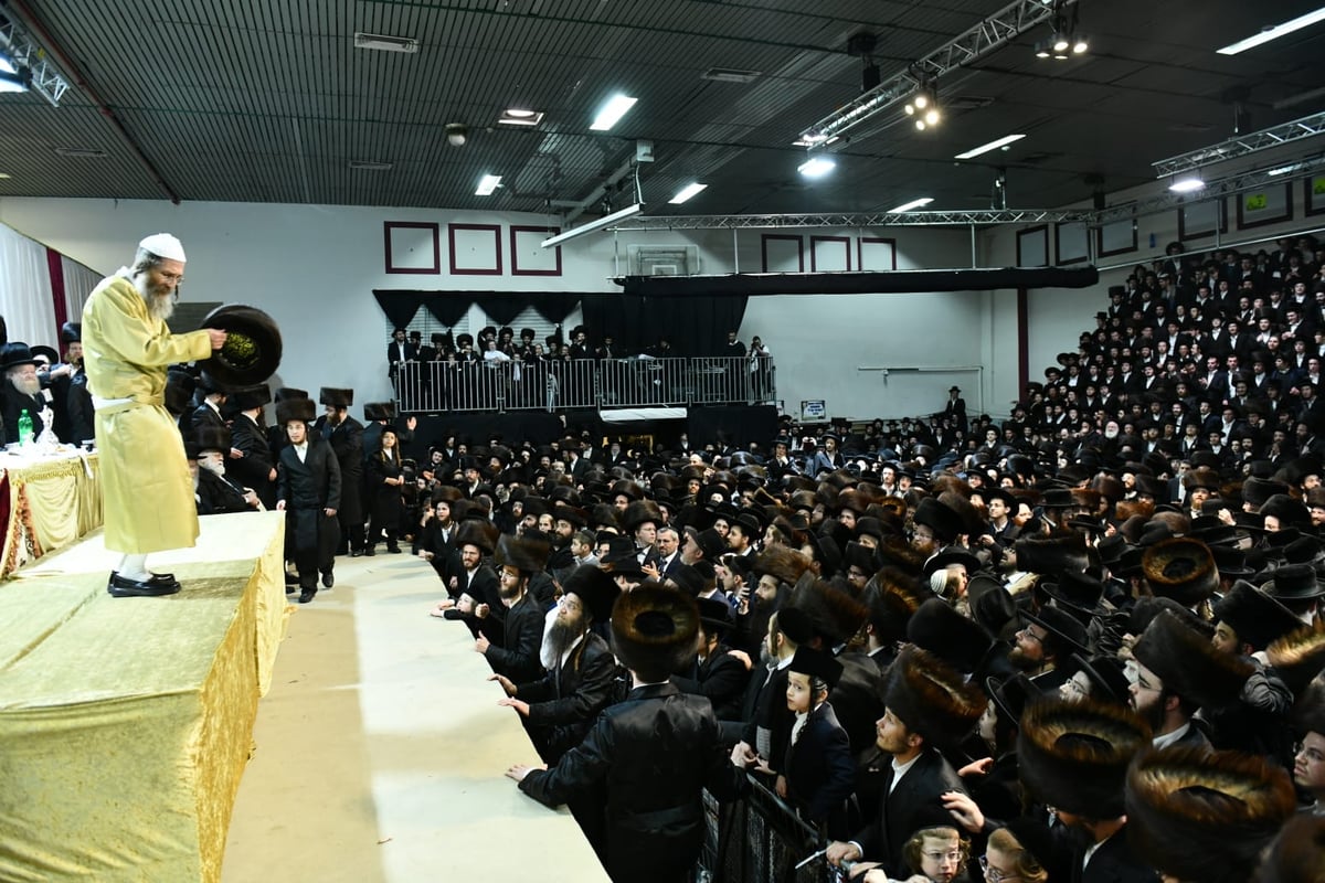 צפו: אלפים בחתונת בת המשפיע רבי מיילך בידרמן