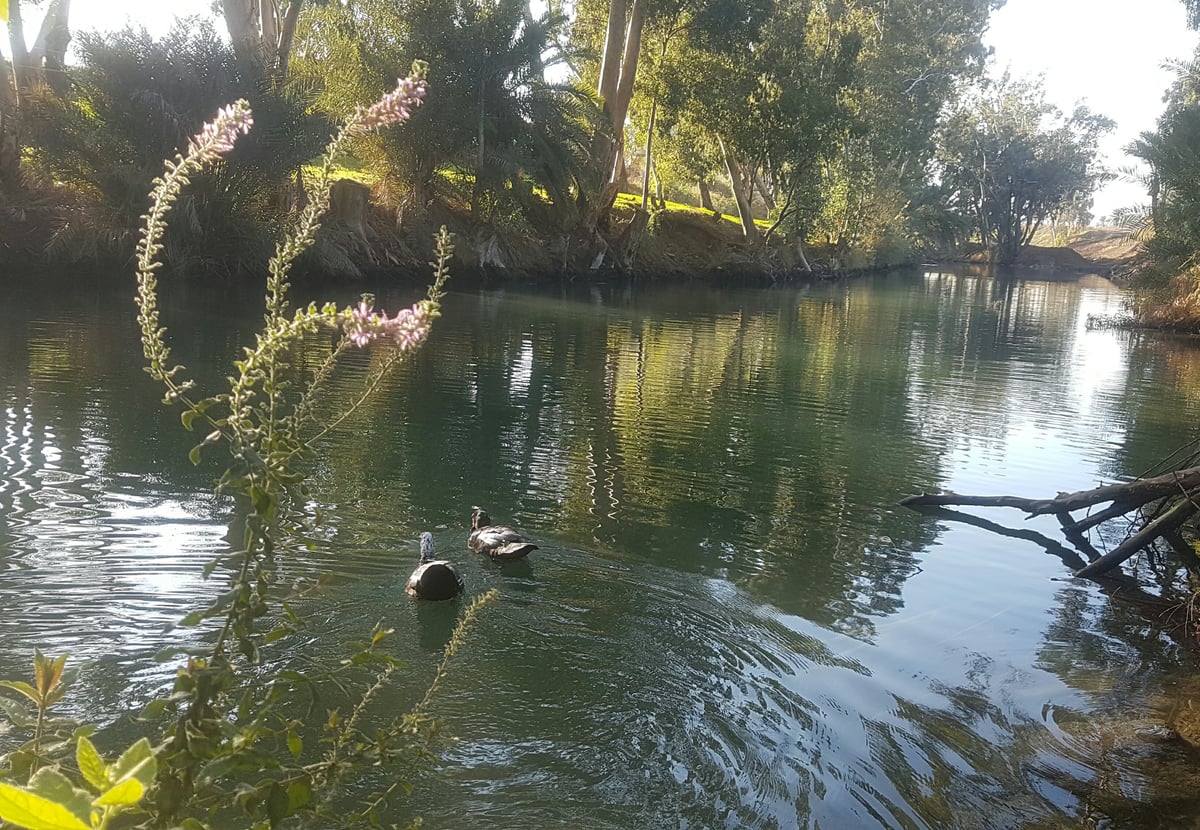 צפו בגלריית חורף מרהיבה מצפון הארץ