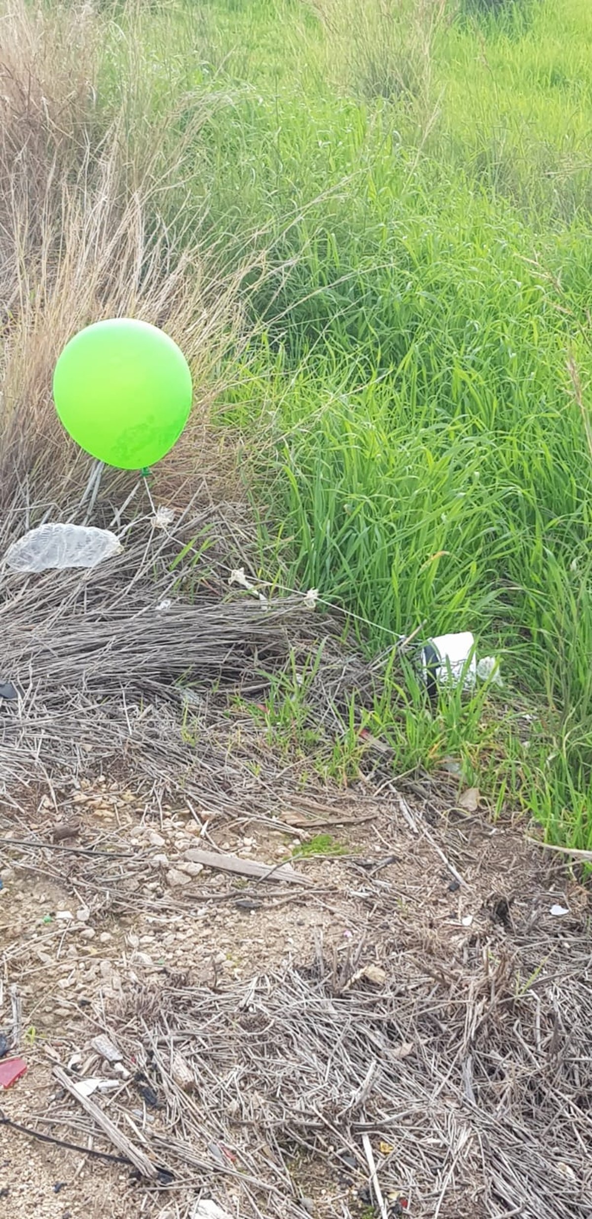 בלוני תבערה נחתו בערים שדרות וקרית גת