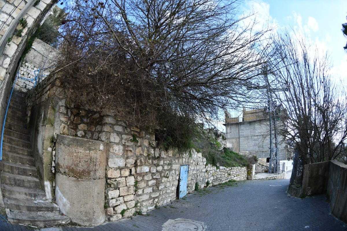 בין הסמטאות • צפו בתיעוד המיוחד של צפת