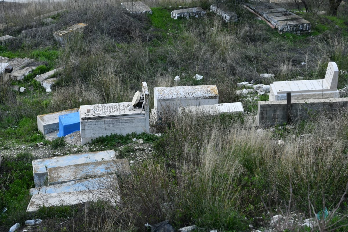 בין הסמטאות • צפו בתיעוד המיוחד של צפת