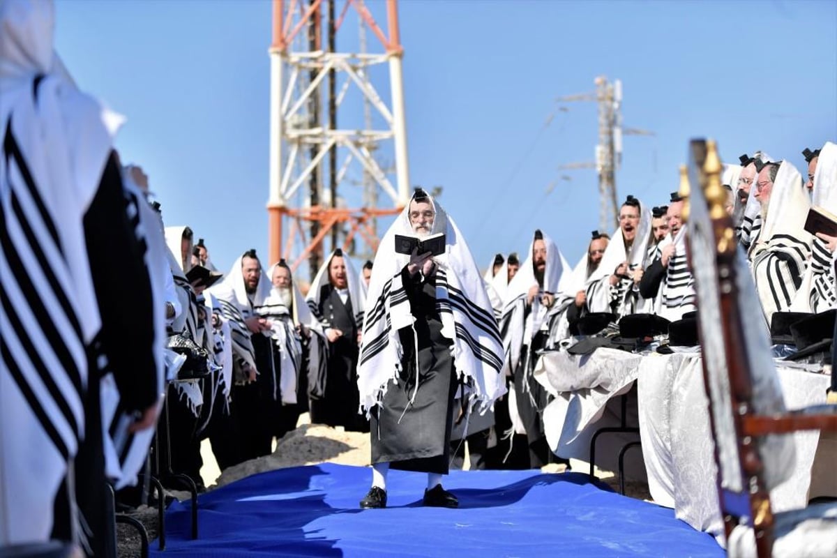 המסע המלא של נגידי ויז'ניץ בראשות הרבי לסיני - צפו