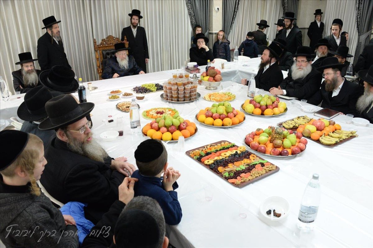 ראש השנה לאילנות בחצר הקודש נדבורנה - חיפה