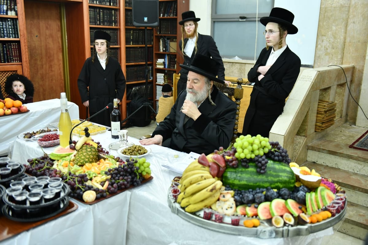 האדמו"ר מאשלג ב'טיש' לרגל ט"ו בשבט