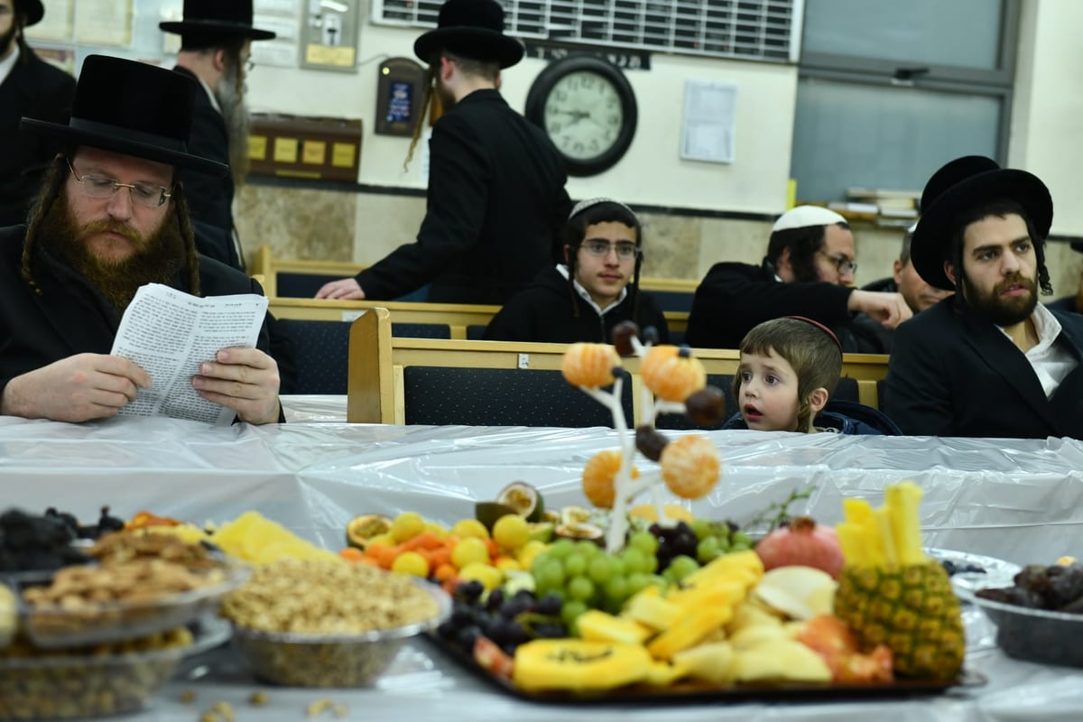 האדמו"ר מאשלג ב'טיש' לרגל ט"ו בשבט