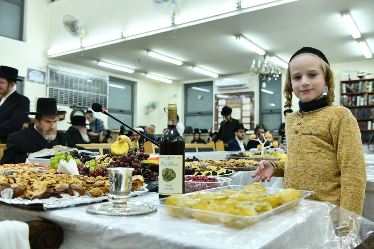 האדמו"ר מאשלג ב'טיש' לרגל ט"ו בשבט