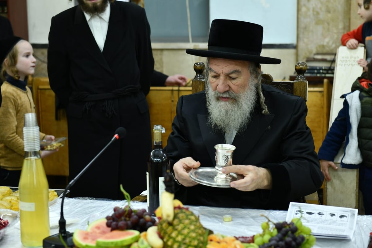 האדמו"ר מאשלג ב'טיש' לרגל ט"ו בשבט