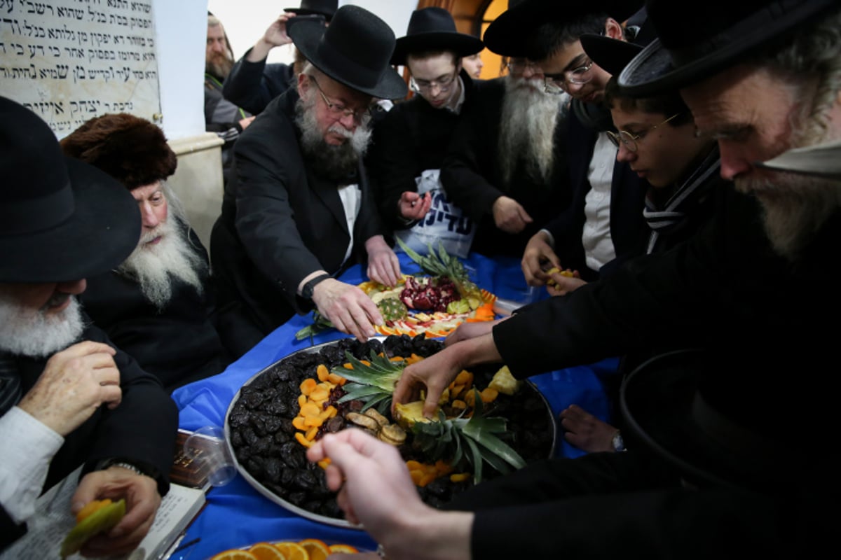 במירון ציינו את ראש השנה לאילנות בחלוקת פירות