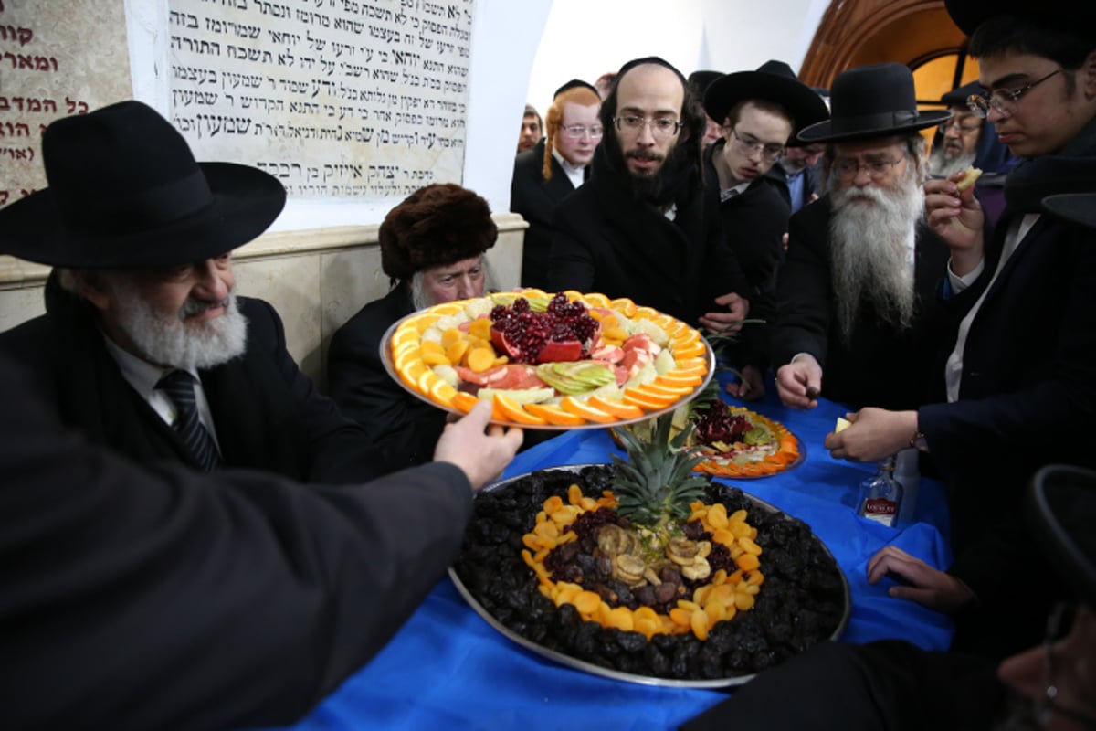 במירון ציינו את ראש השנה לאילנות בחלוקת פירות