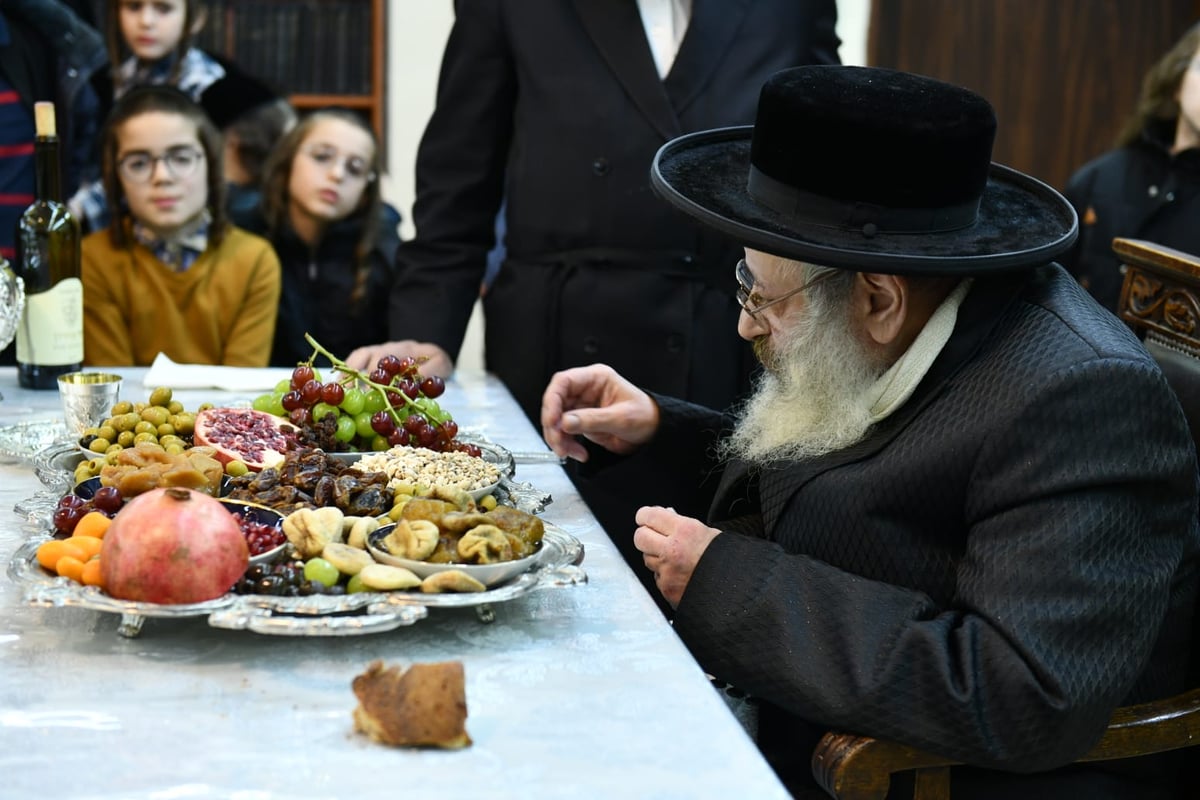 'טיש' ט"ו בשבט בחצר הקודש דעעש בבני ברק