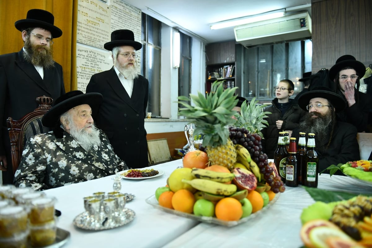 הרבי מספינקא חילק ב'טיש' אתרוגים לחסידיו