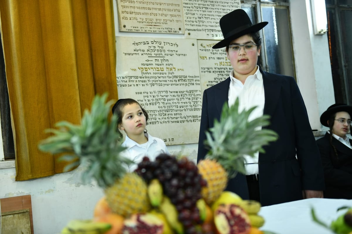 הרבי מספינקא חילק ב'טיש' אתרוגים לחסידיו