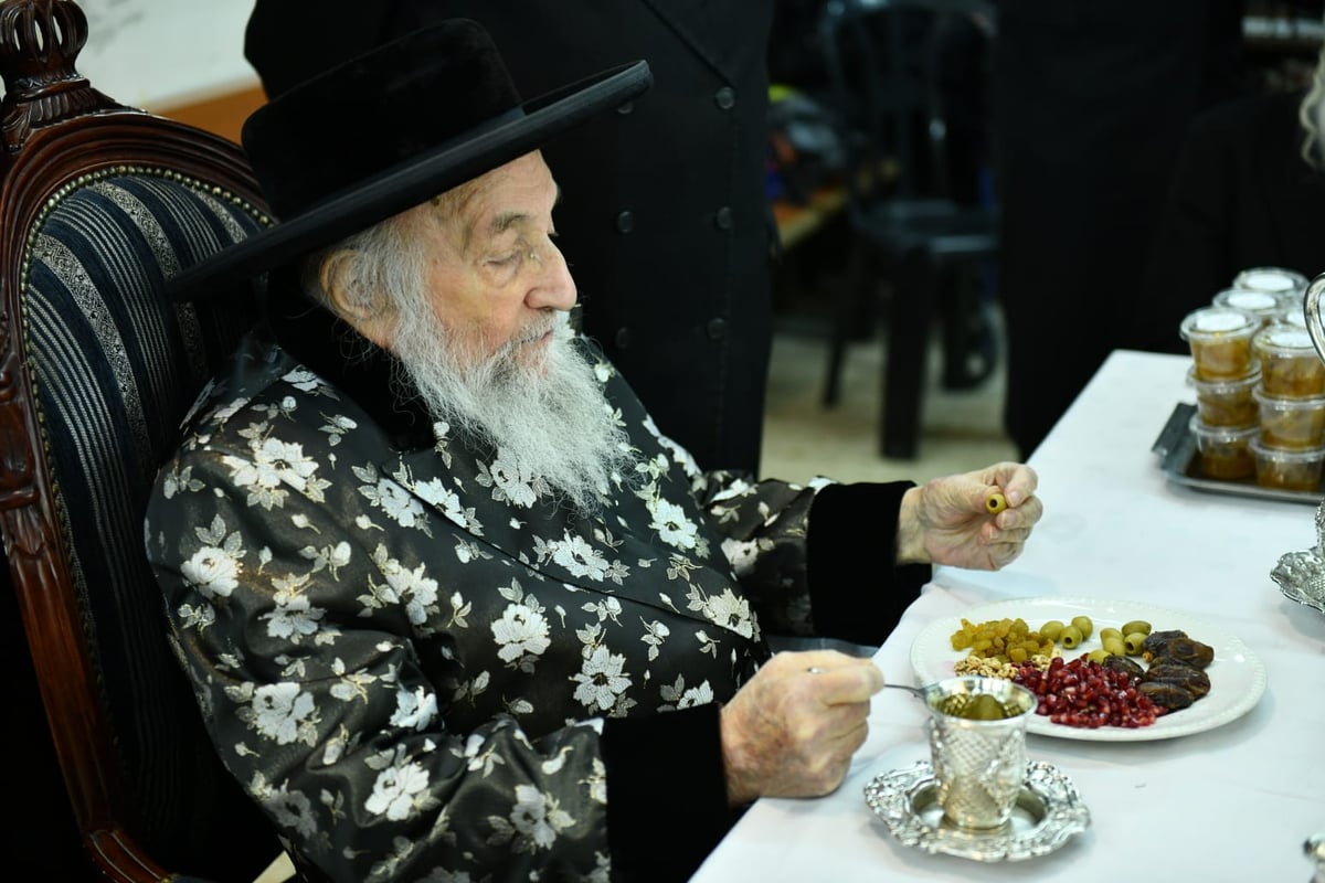 הרבי מספינקא חילק ב'טיש' אתרוגים לחסידיו