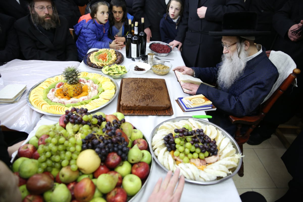 החסידים בצפת חגגו ט"ו בשבט בנדבורנה