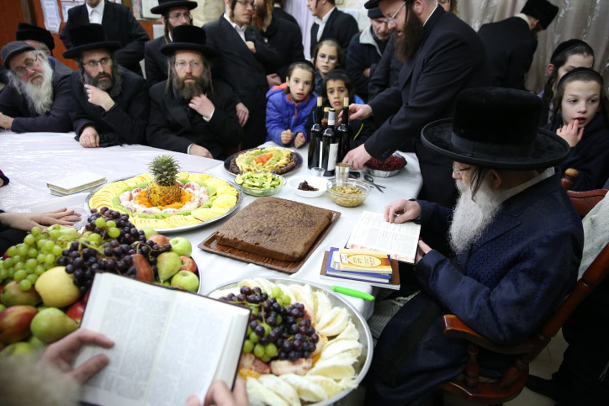 החסידים בצפת חגגו ט"ו בשבט בנדבורנה