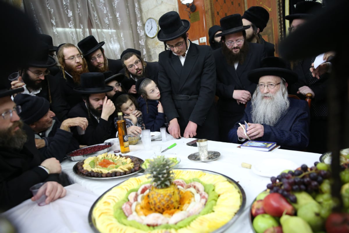 החסידים בצפת חגגו ט"ו בשבט בנדבורנה