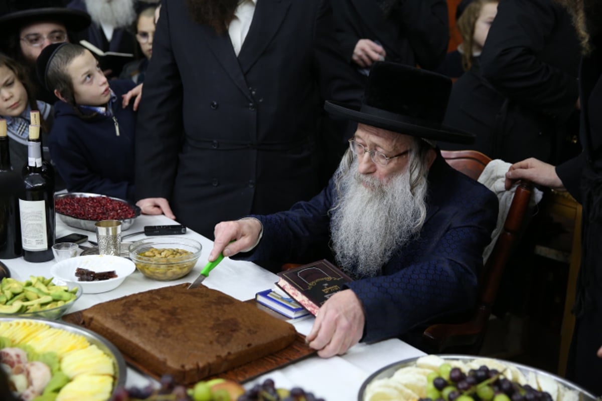 החסידים בצפת חגגו ט"ו בשבט בנדבורנה