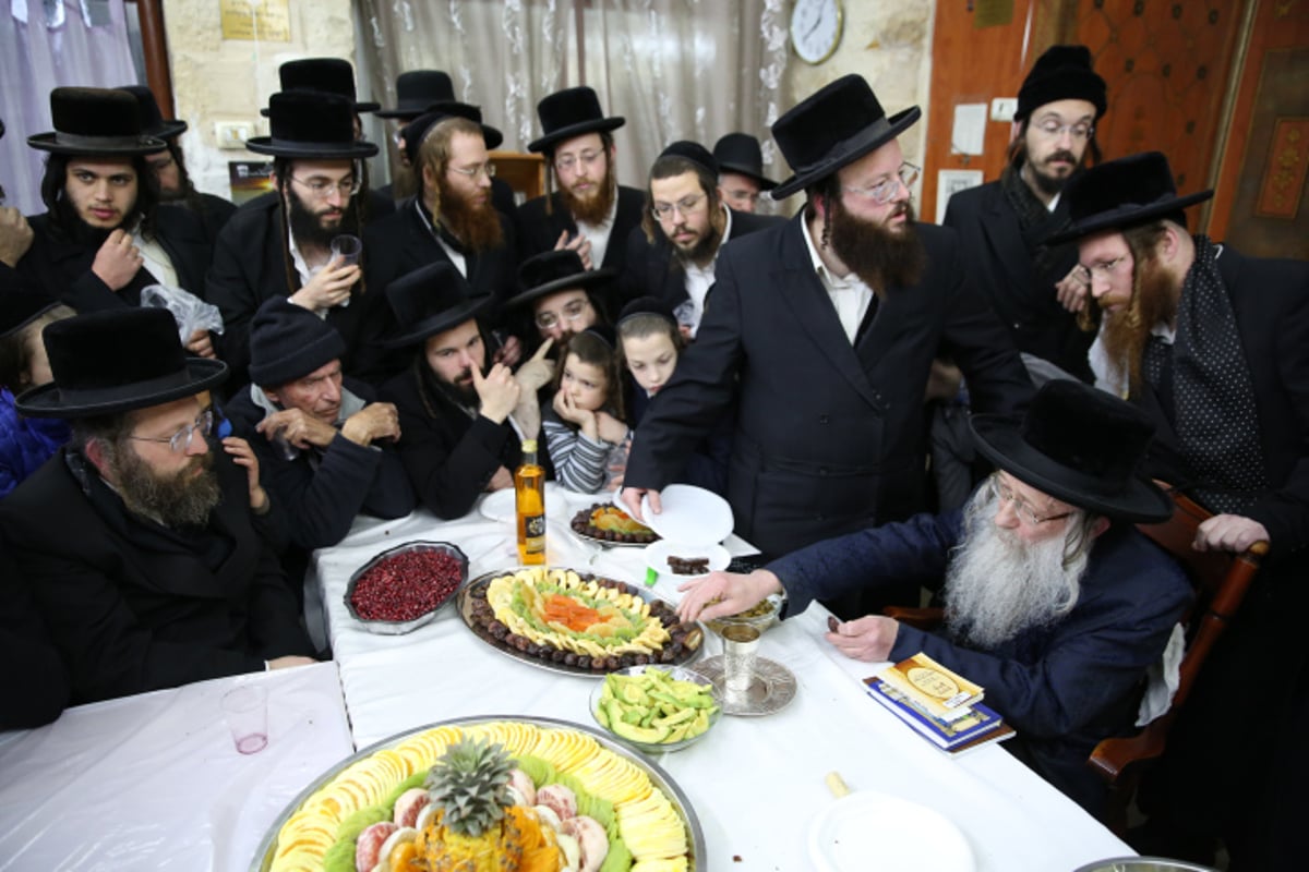 החסידים בצפת חגגו ט"ו בשבט בנדבורנה