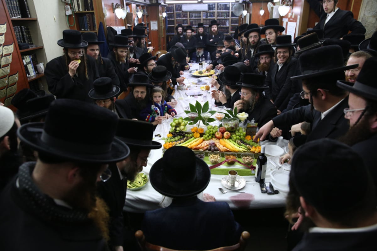 החסידים בצפת חגגו ט"ו בשבט בנדבורנה