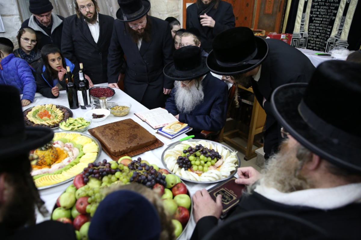 החסידים בצפת חגגו ט"ו בשבט בנדבורנה