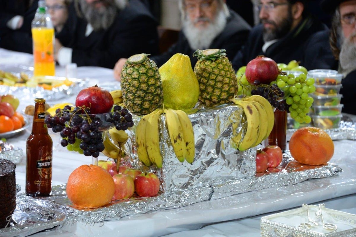 חסידי שאץ - ויז'ניץ חגגו את ראש השנה לאילנות